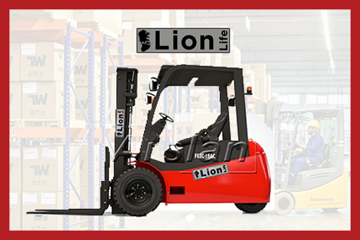 Lion Forklift Servisi İstanbul